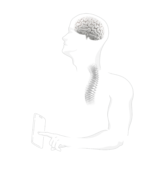 Diagram the challenge